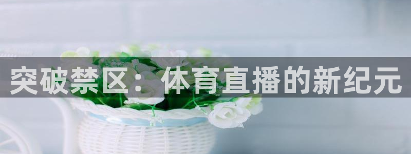 突破禁区：体育直播的新纪元
