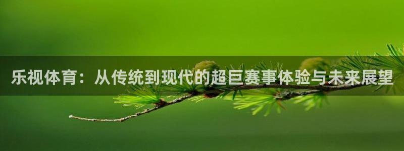 乐视体育：从传统到现代的超巨赛事体验与未来展望