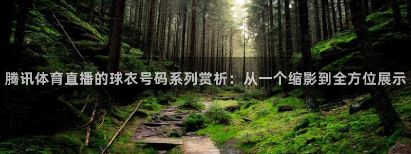 腾讯体育直播的球衣号码系列赏析：从一个缩影到全方位展示