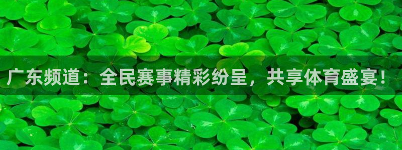 广东频道：全民赛事精彩纷呈，共享体育盛宴！