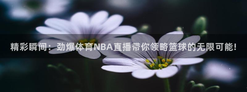 精彩瞬间：劲爆体育NBA直播带你领略篮球的无限可能!