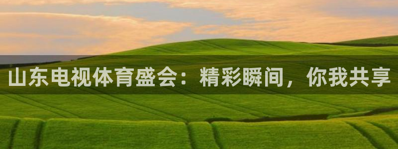 山东电视体育盛会：精彩瞬间，你我共享