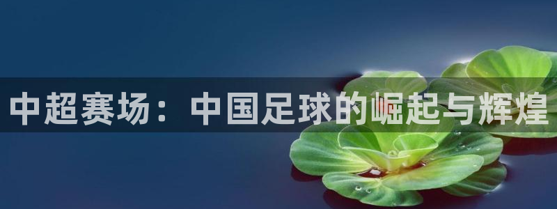 中超赛场：中国足球的崛起与辉煌