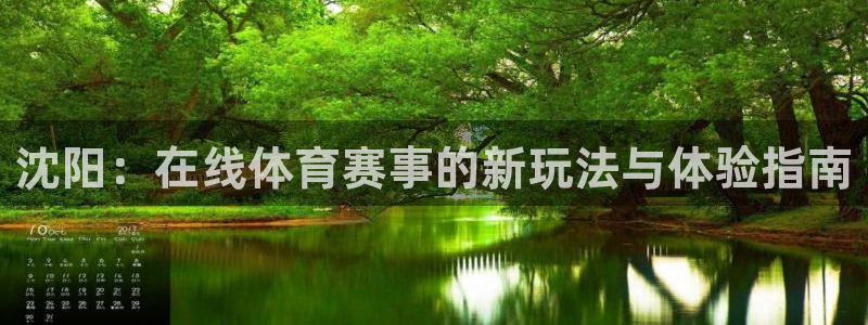 沈阳：在线体育赛事的新玩法与体验指南