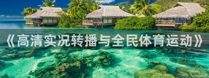 《高清实况转播与全民体育运动》