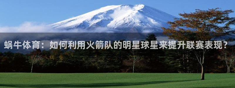 蜗牛体育：如何利用火箭队的明星球星来提升联赛表现？