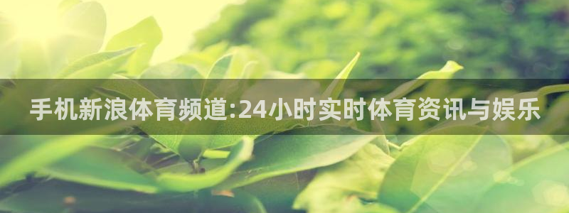 手机新浪体育频道:24小时实时体育资讯与娱乐