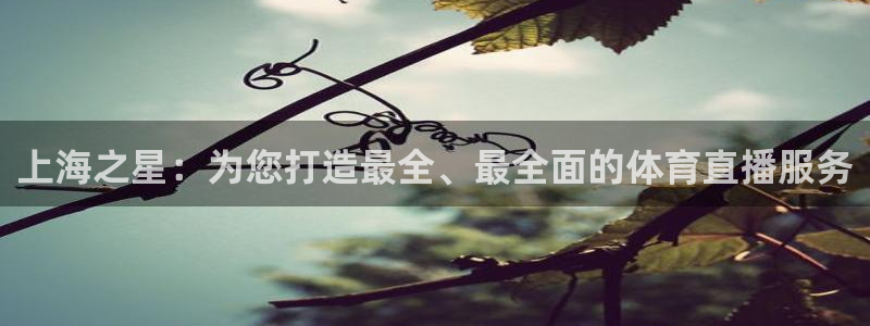 上海之星：为您打造最全、最全面的体育直播服务