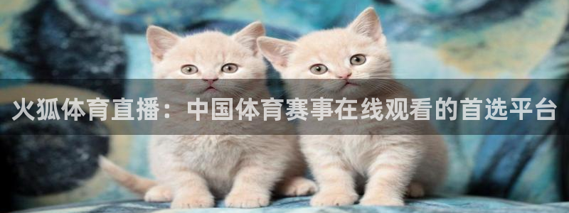 火狐体育直播：中国体育赛事在线观看的首选平台