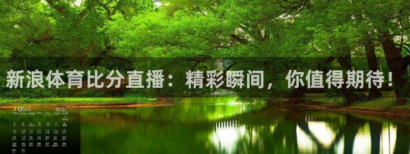 新浪体育比分直播：精彩瞬间，你值得期待！