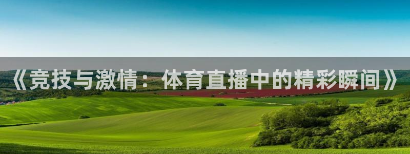 《竞技与激情：体育直播中的精彩瞬间》