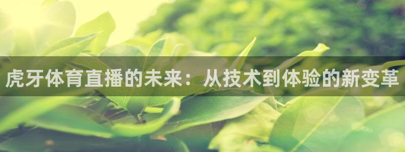 虎牙体育直播的未来：从技术到体验的新变革