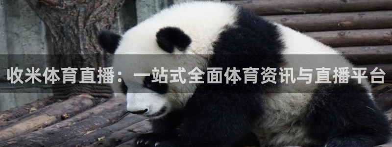 收米体育直播：一站式全面体育资讯与直播平台