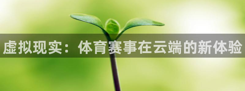 虚拟现实：体育赛事在云端的新体验