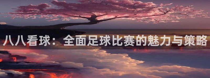 八八看球：全面足球比赛的魅力与策略